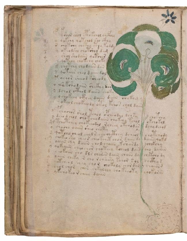 Иллюстрация к книге — Манускрипт Войнича [i_127.jpg]