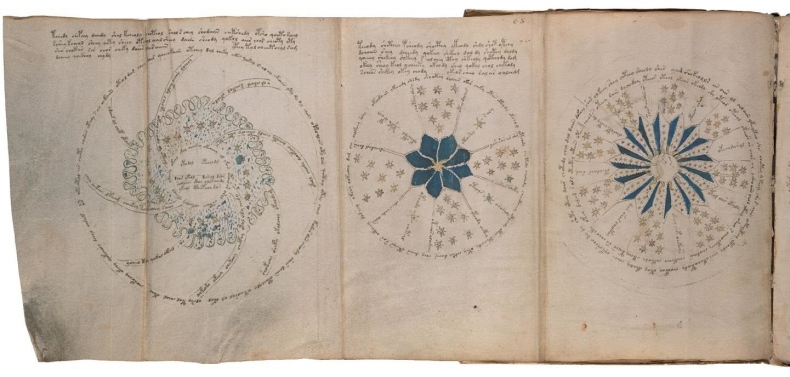 Иллюстрация к книге — Манускрипт Войнича [i_144.jpg]