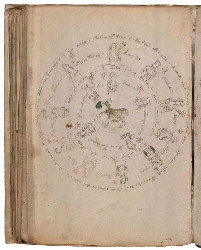 Иллюстрация к книге — Манускрипт Войнича [i_146.jpg]