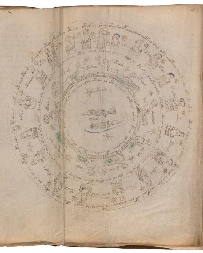 Иллюстрация к книге — Манускрипт Войнича [i_147.jpg]