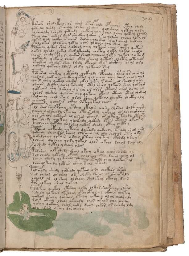 Иллюстрация к книге — Манускрипт Войнича [i_162.jpg]