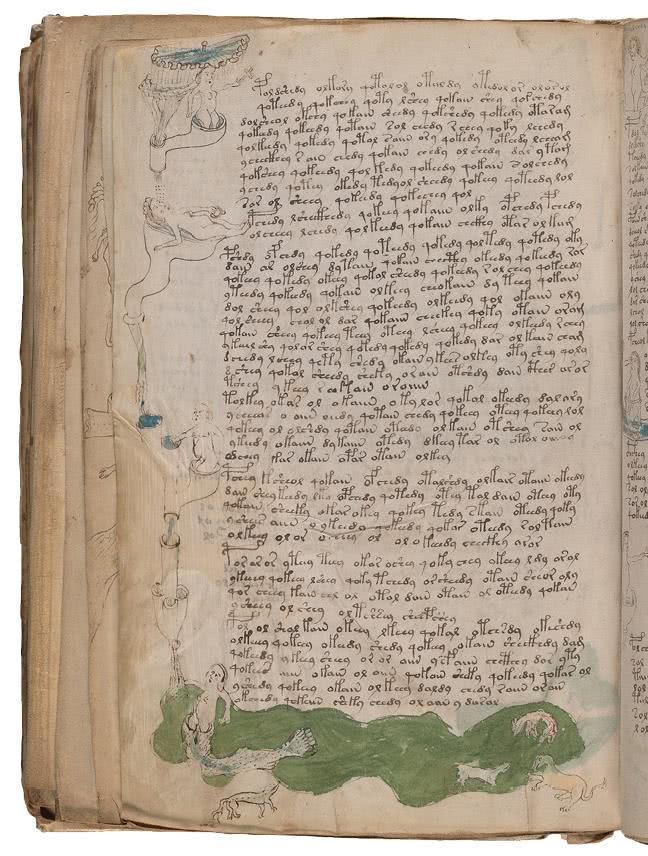 Иллюстрация к книге — Манускрипт Войнича [i_163.jpg]