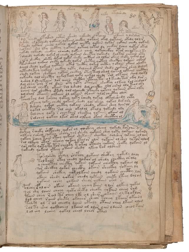 Иллюстрация к книге — Манускрипт Войнича [i_164.jpg]