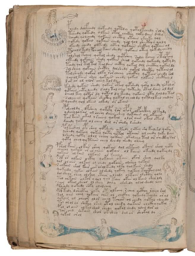 Иллюстрация к книге — Манускрипт Войнича [i_165.jpg]