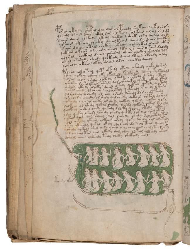 Иллюстрация к книге — Манускрипт Войнича [i_167.jpg]