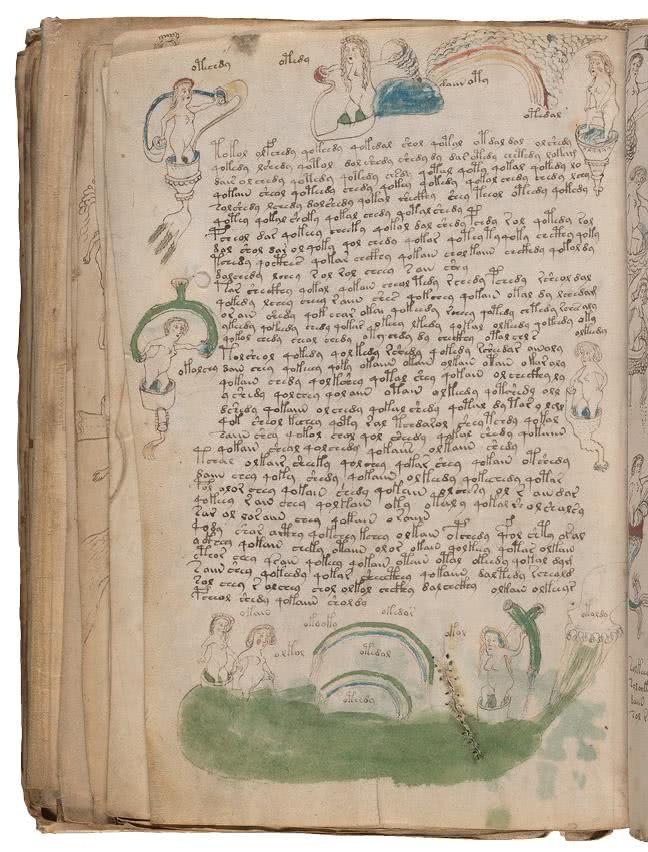 Иллюстрация к книге — Манускрипт Войнича [i_169.jpg]