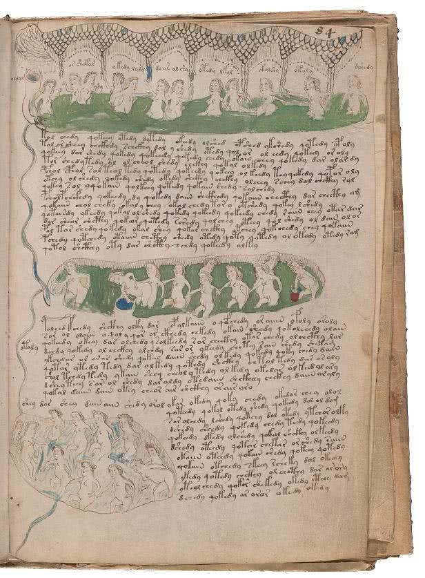 Иллюстрация к книге — Манускрипт Войнича [i_172.jpg]