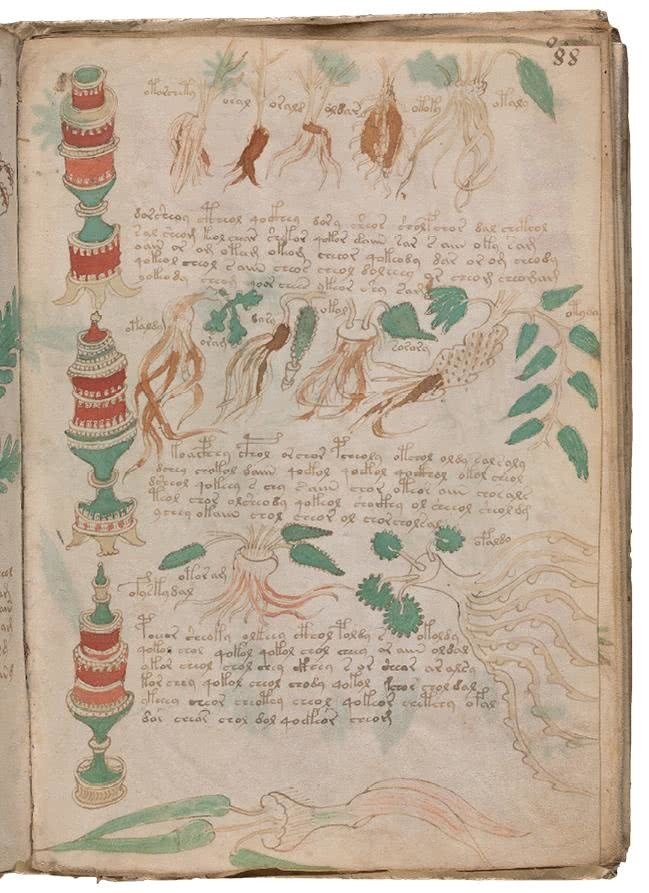 Иллюстрация к книге — Манускрипт Войнича [i_179.jpg]