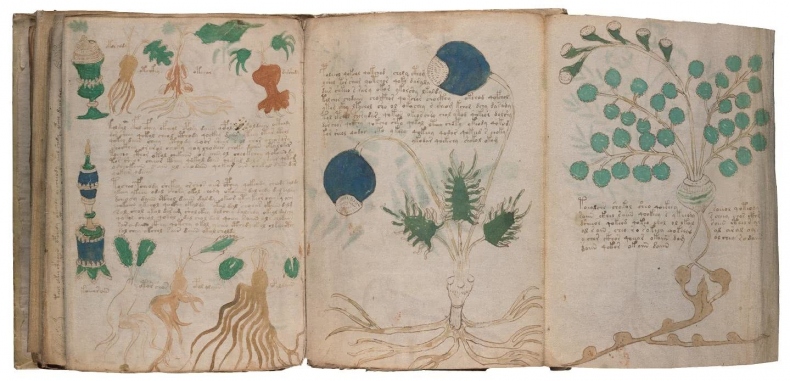 Иллюстрация к книге — Манускрипт Войнича [i_182.jpg]