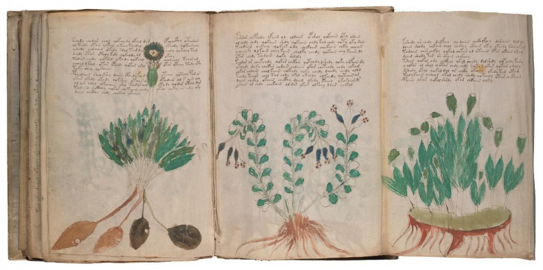 Иллюстрация к книге — Манускрипт Войнича [i_189.jpg]