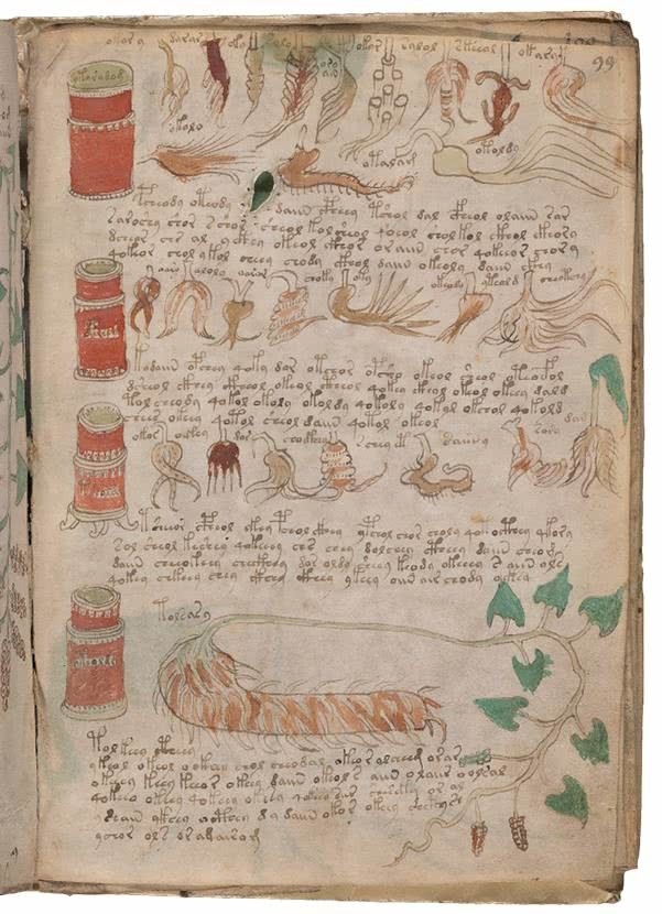 Иллюстрация к книге — Манускрипт Войнича [i_193.jpg]