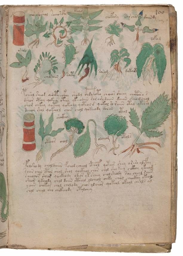 Иллюстрация к книге — Манускрипт Войнича [i_195.jpg]