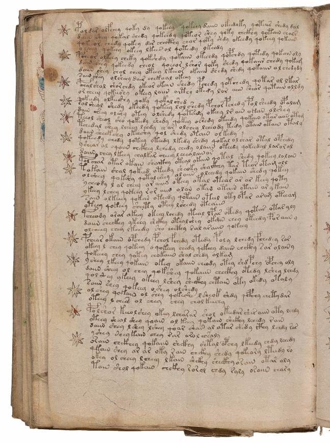 Иллюстрация к книге — Манускрипт Войнича [i_202.jpg]