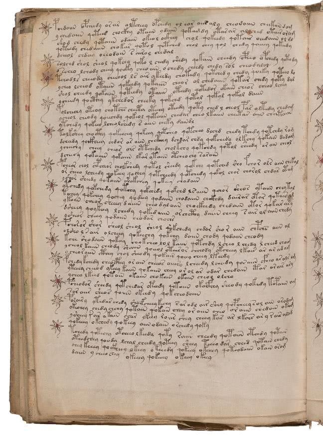 Иллюстрация к книге — Манускрипт Войнича [i_204.jpg]