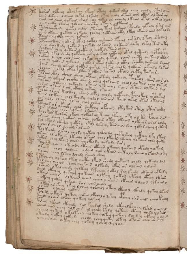 Иллюстрация к книге — Манускрипт Войнича [i_210.jpg]