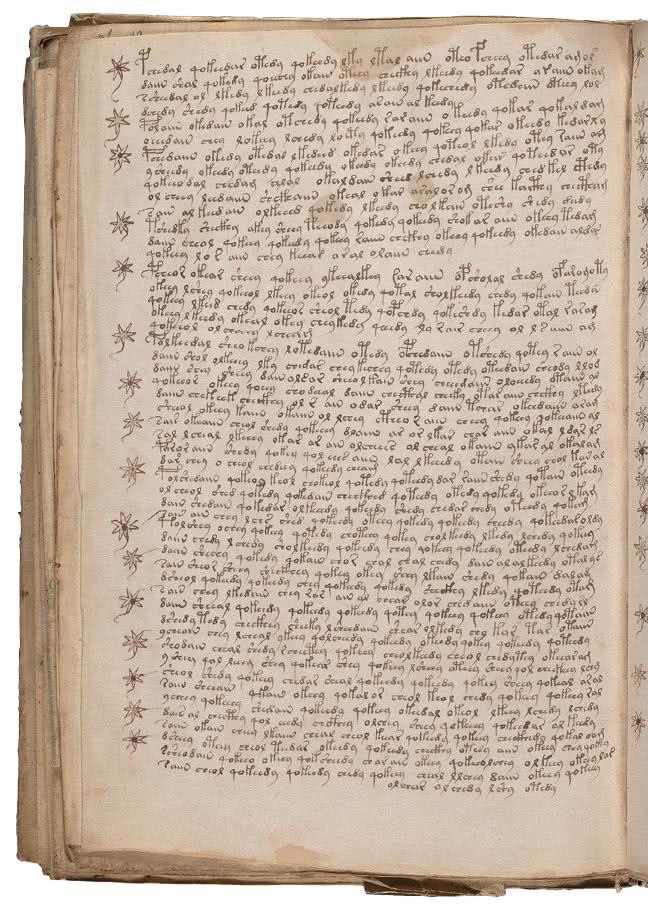 Иллюстрация к книге — Манускрипт Войнича [i_212.jpg]