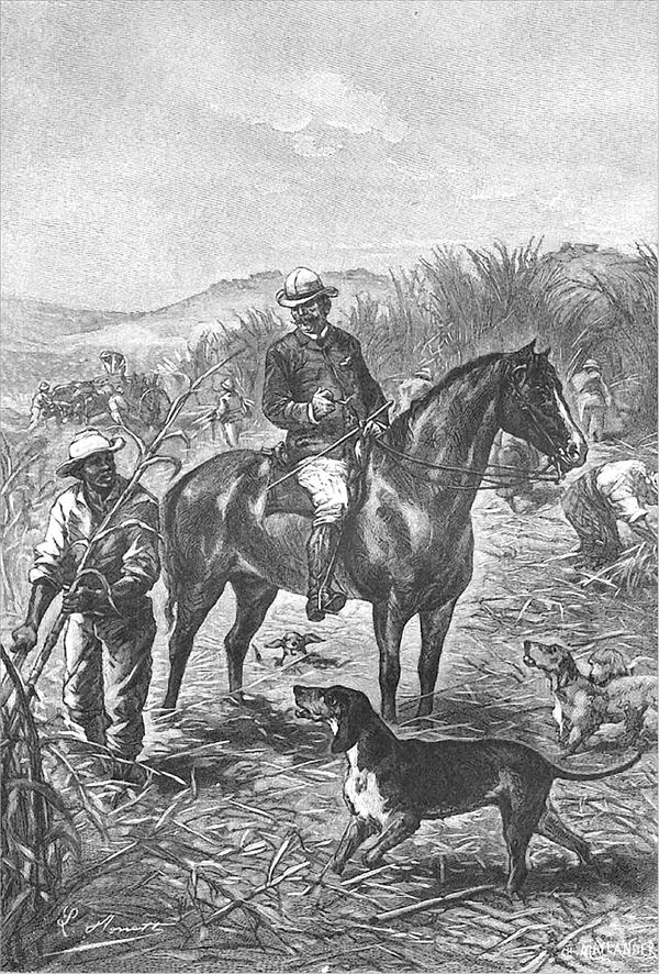 Иллюстрация к книге — Путешествие стипендиатов [i_028.jpg]