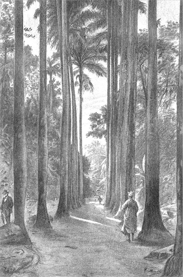 Иллюстрация к книге — Путешествие стипендиатов [i_031.jpg]