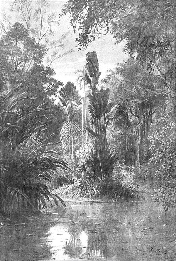 Иллюстрация к книге — Путешествие стипендиатов [i_032.jpg]