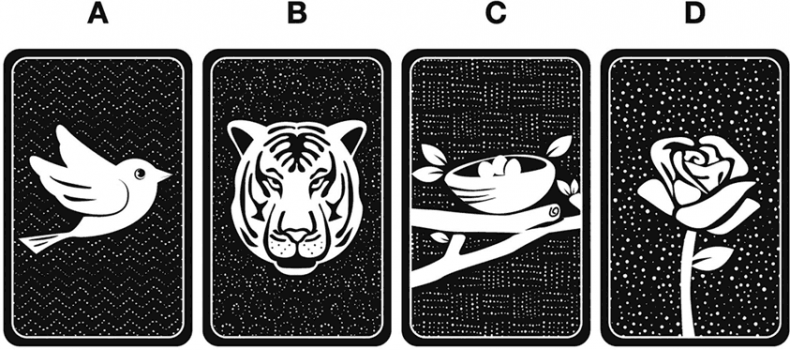 Иллюстрация к книге — Коучинг мозга. Как мы можем использовать знания о мозге, чтобы помочь себе развиваться [i_010.jpg]