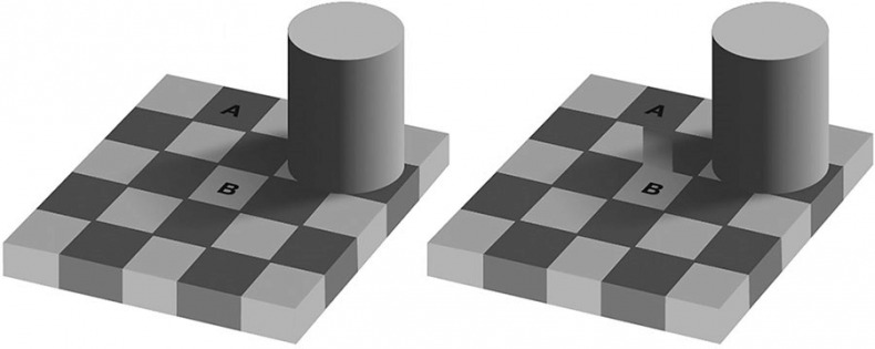Иллюстрация к книге — Коучинг мозга. Как мы можем использовать знания о мозге, чтобы помочь себе развиваться [i_022.jpg]
