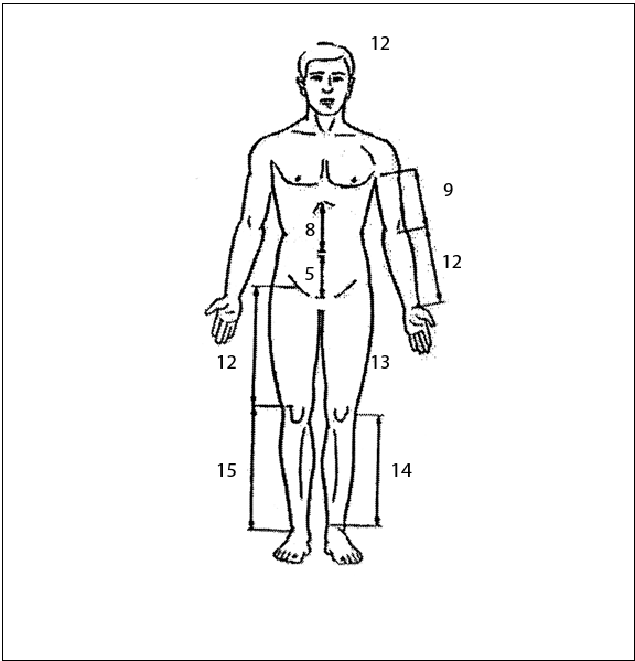 Иллюстрация к книге — Рефлексотерапия. Как восстановить подвижность суставов в домашних условиях [i_008.jpg]