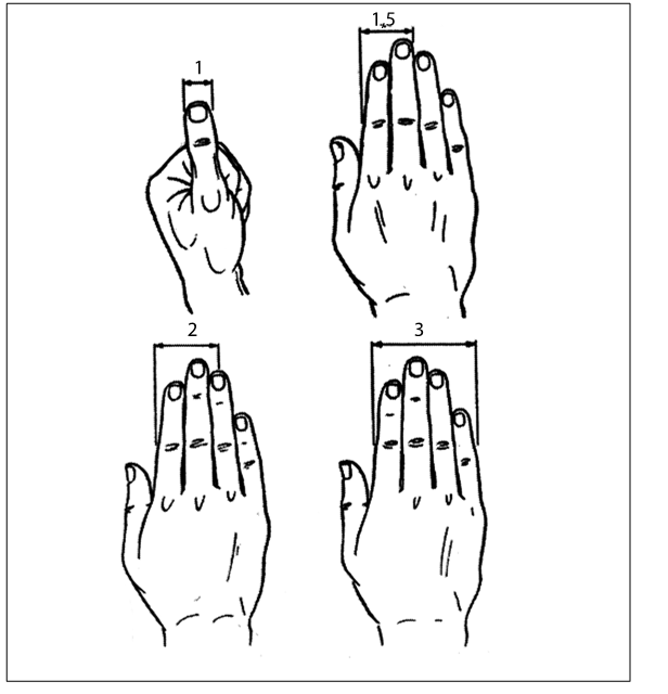 Иллюстрация к книге — Рефлексотерапия. Как восстановить подвижность суставов в домашних условиях [i_011.jpg]