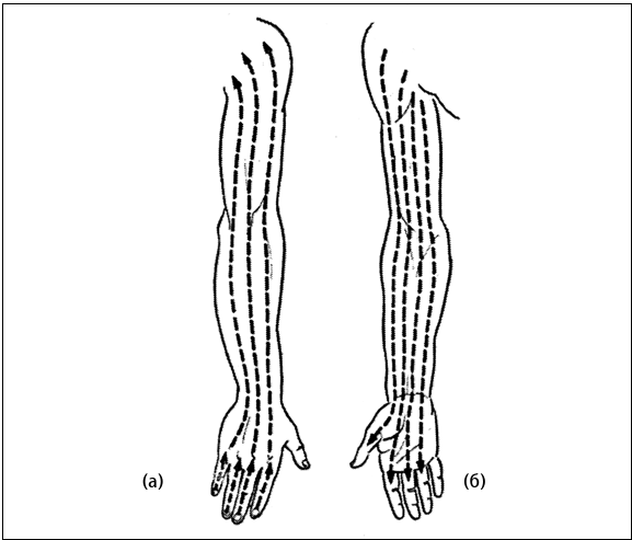 Иллюстрация к книге — Рефлексотерапия. Как восстановить подвижность суставов в домашних условиях [i_015.jpg]