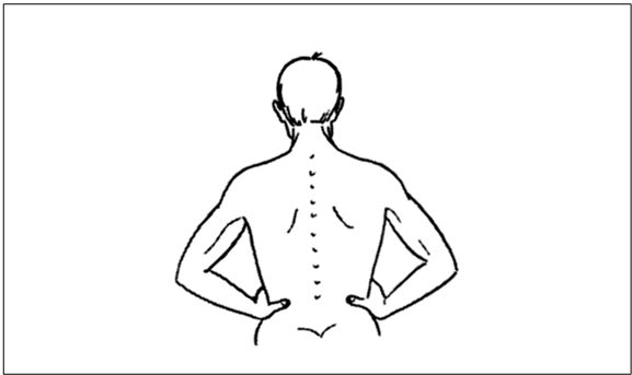 Иллюстрация к книге — Рефлексотерапия. Как восстановить подвижность суставов в домашних условиях [i_044.jpg]