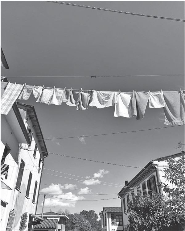 Иллюстрация к книге — Однажды в Тоскане. История обычного счастья и необыкновенно вкусной еды [img_3.jpg]