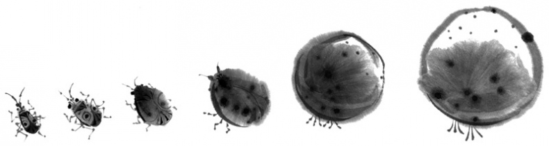 Иллюстрация к книге — История Северного круга [i_006.jpg]