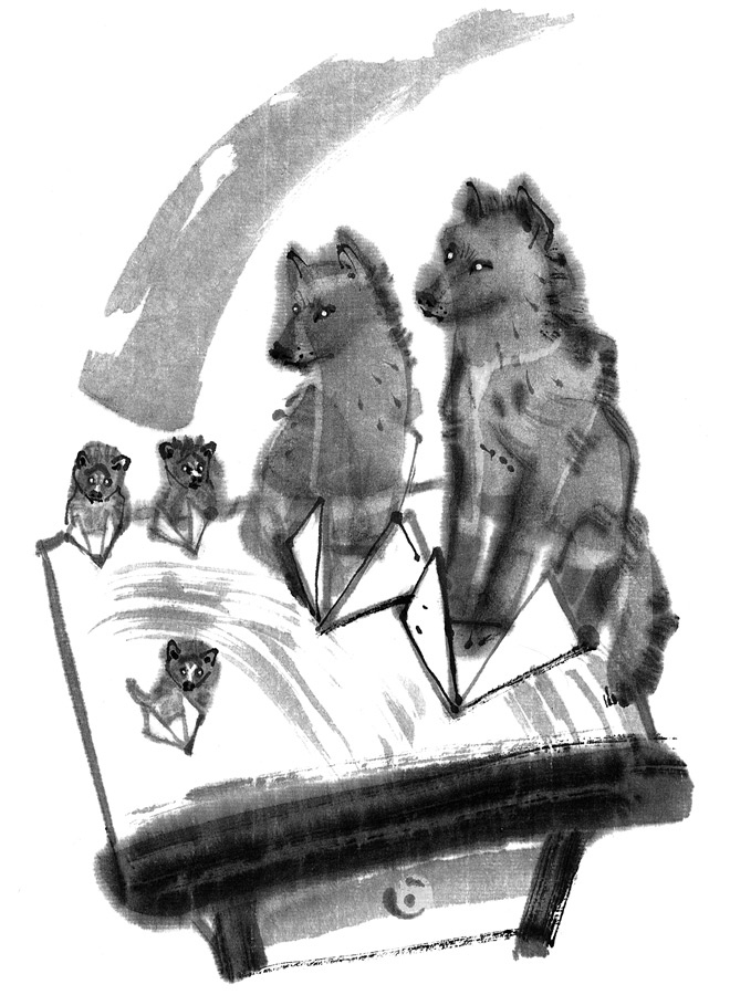 Иллюстрация к книге — История Северного круга [i_022.jpg]