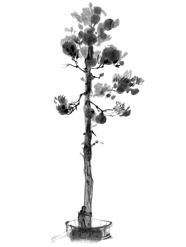 Иллюстрация к книге — История Северного круга [i_025.jpg]