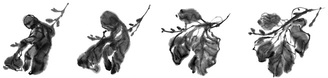 Иллюстрация к книге — История Северного круга [i_028.jpg]