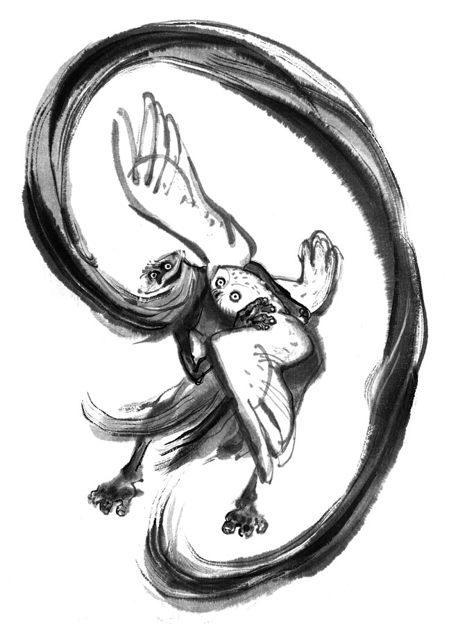 Иллюстрация к книге — История Северного круга [i_029.jpg]