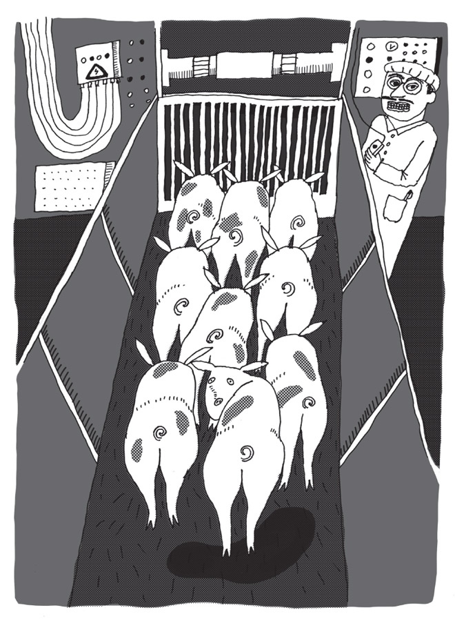 Иллюстрация к книге — Джефферсон [i_013.jpg]