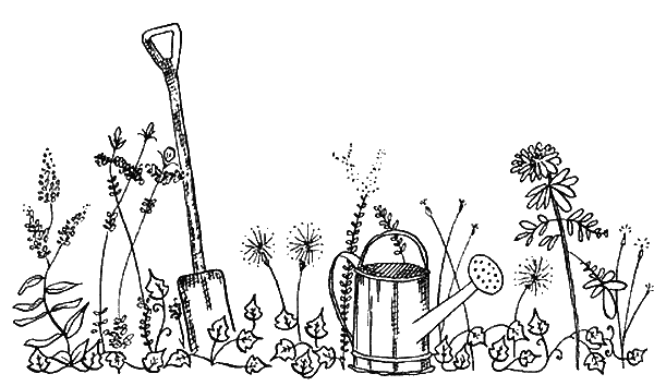 Иллюстрация к книге — Вандербикеры и таинственный сад [_024.jpg]