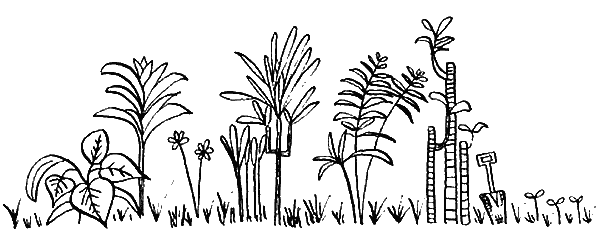 Иллюстрация к книге — Вандербикеры и таинственный сад [_035.jpg]