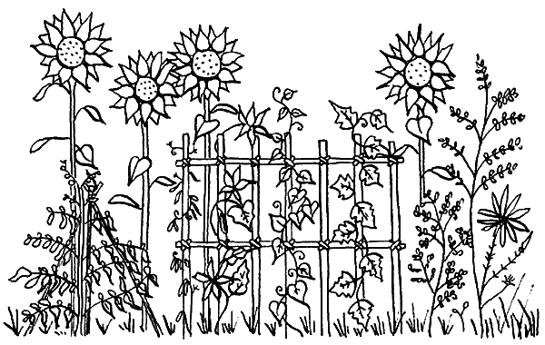 Иллюстрация к книге — Вандербикеры и таинственный сад [_044.jpg]