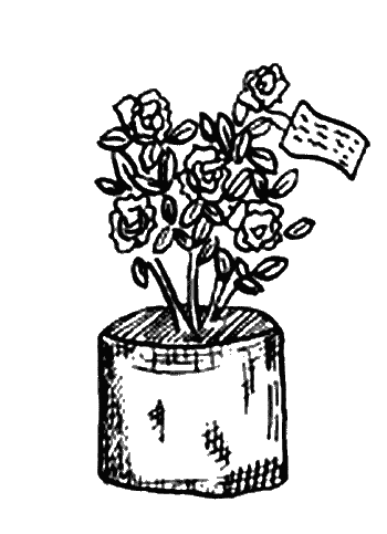 Иллюстрация к книге — Вандербикеры и таинственный сад [_045.jpg]