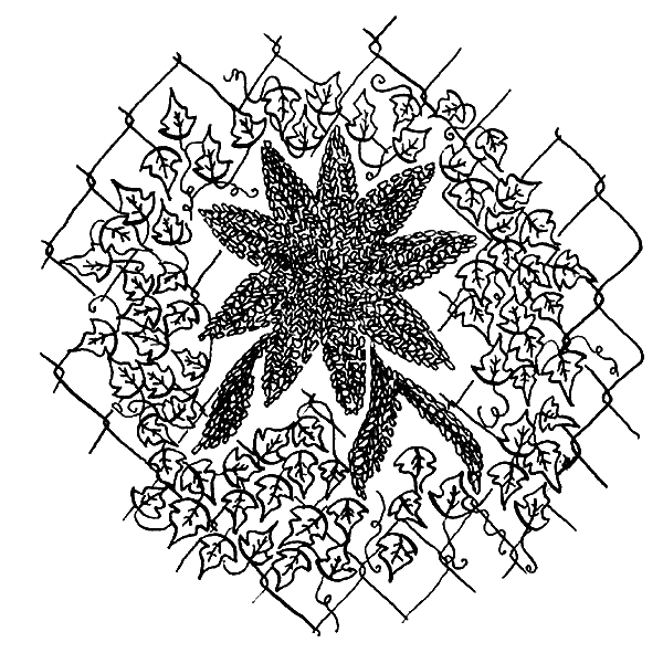 Иллюстрация к книге — Вандербикеры и таинственный сад [_047.jpg]