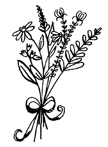 Иллюстрация к книге — Вандербикеры и таинственный сад [_057.jpg]