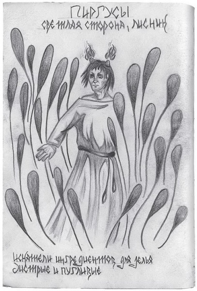 Иллюстрация к книге — Гиллиус: светлая сторона. Книга 1 [i_013.jpg]