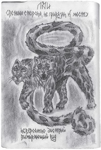 Иллюстрация к книге — Гиллиус: светлая сторона. Книга 1 [i_017.jpg]