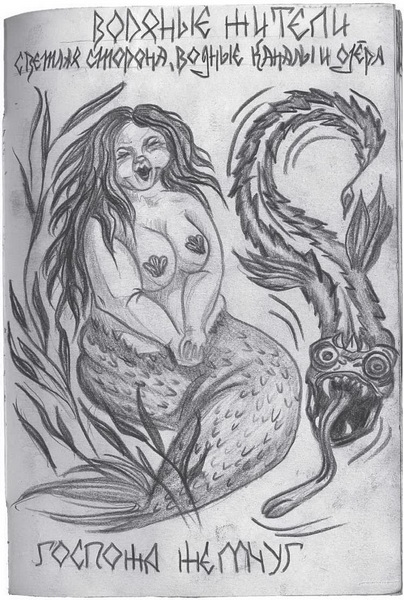 Иллюстрация к книге — Гиллиус: светлая сторона. Книга 1 [i_019.jpg]