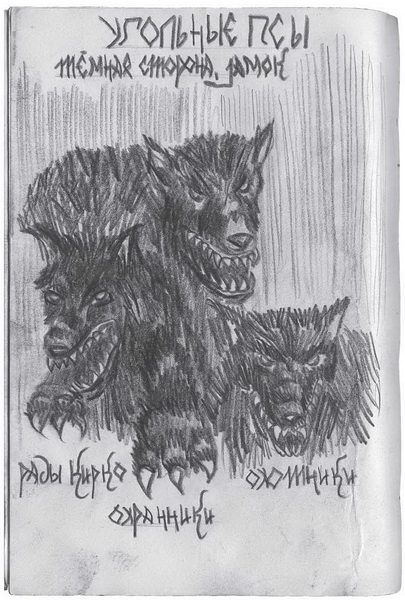 Иллюстрация к книге — Гиллиус: светлая сторона. Книга 1 [i_027.jpg]