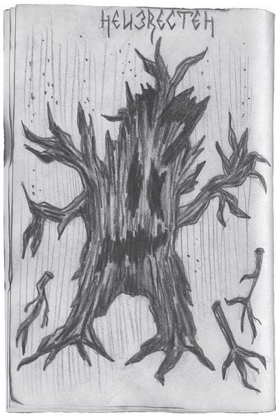 Иллюстрация к книге — Гиллиус: светлая сторона. Книга 1 [i_033.jpg]