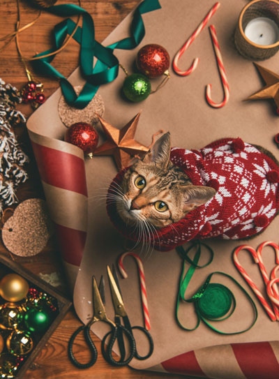 Иллюстрация к книге — Волшебный Новый год. Секреты радостных праздников без суеты и стресса [i_019.jpg]