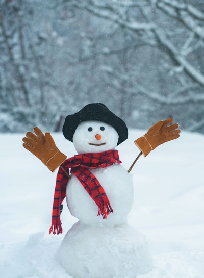 Иллюстрация к книге — Волшебный Новый год. Секреты радостных праздников без суеты и стресса [i_023.jpg]