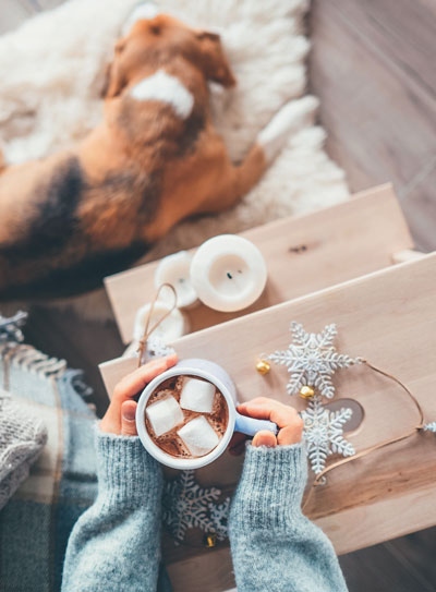 Иллюстрация к книге — Волшебный Новый год. Секреты радостных праздников без суеты и стресса [i_029.jpg]